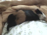 DSC00003.JPG